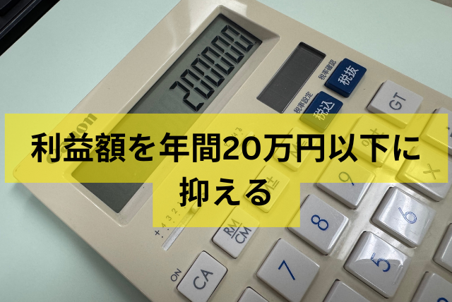 利益額を年間20万円以下に抑える