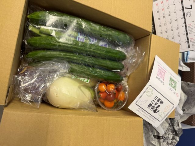 福島県伊達郡の三栗野むぎ農園様より届いた旬の野菜セット