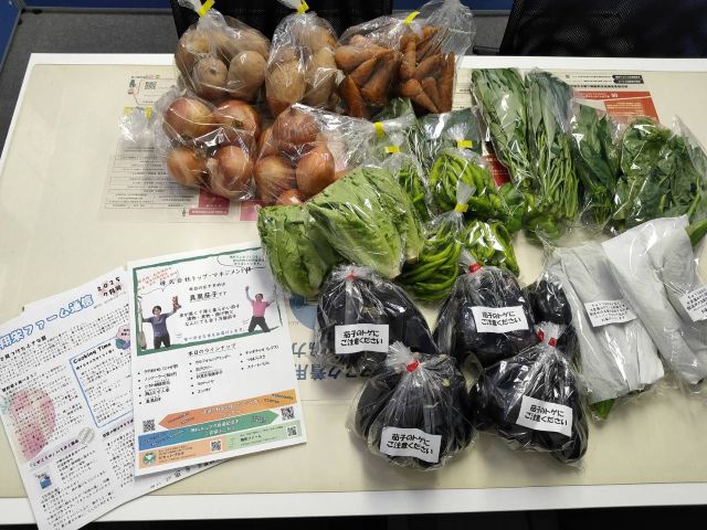 茨城県龍ヶ崎市産野菜の詰め合わせ