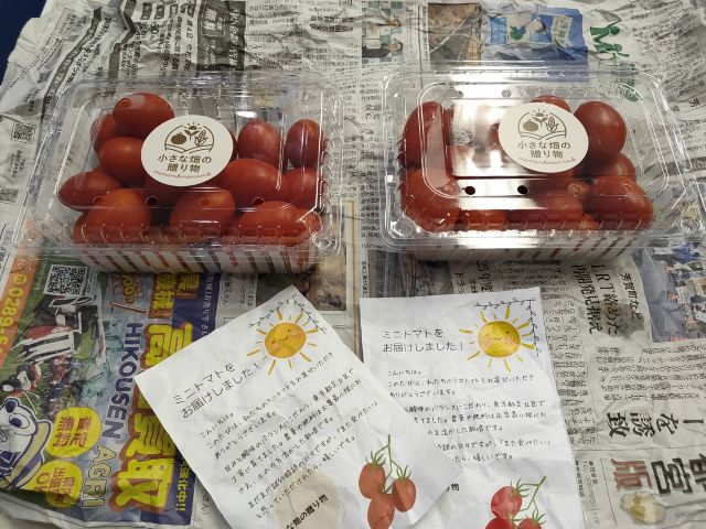 足立区産フルーツトマト