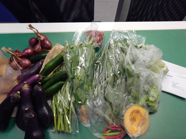 豊田市うさぎや菜園より届いた野菜画像