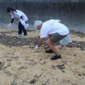 セーブ・ザ・コーラル プロジェクト