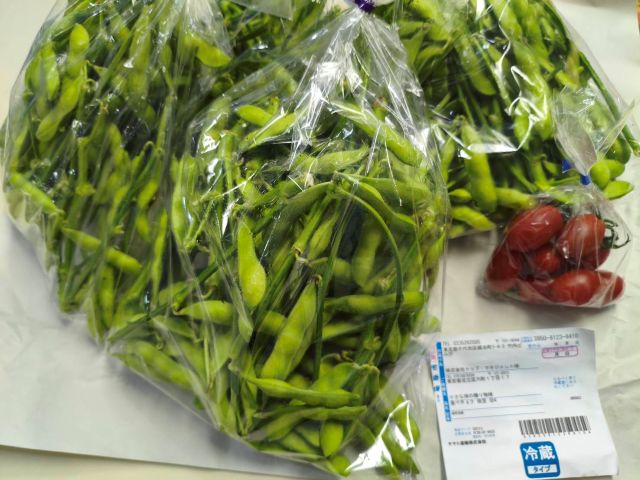 購入した足立区産の枝豆